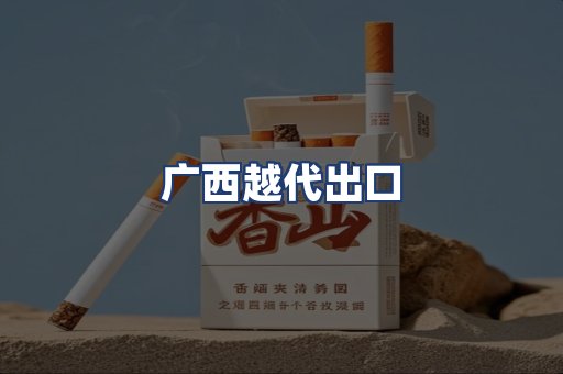广西越代出口